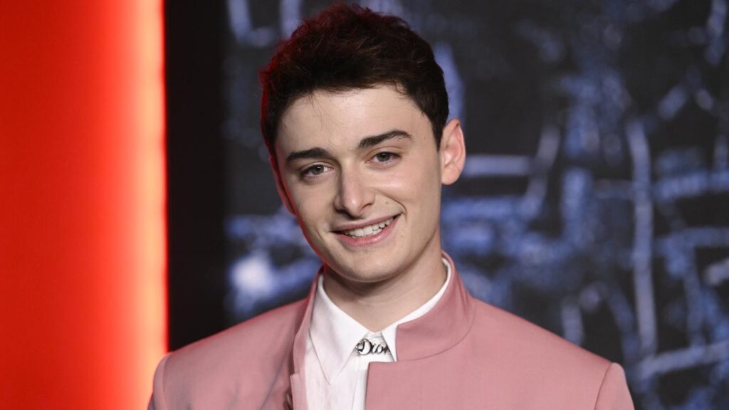 noah schnapp schwul